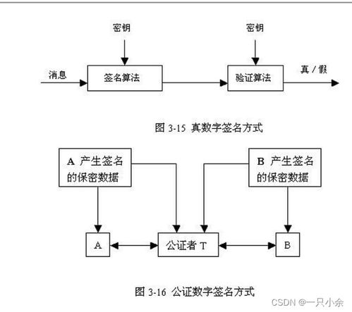計算機網(wǎng)絡(luò)安全 技術(shù)開發(fā)與應(yīng)用期末綜述