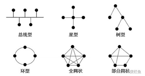 網(wǎng)絡(luò)技術(shù)一 計(jì)算機(jī)網(wǎng)絡(luò)概述與計(jì)算機(jī)網(wǎng)絡(luò)技術(shù)開發(fā)